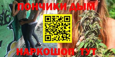 МДПВ Будённовск