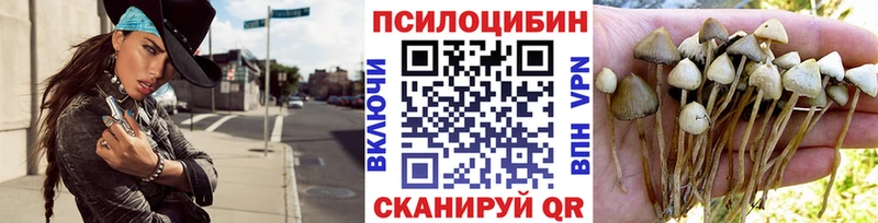 Псилоцибиновые грибы прущие грибы  omg сайт  Кинель  закладки 