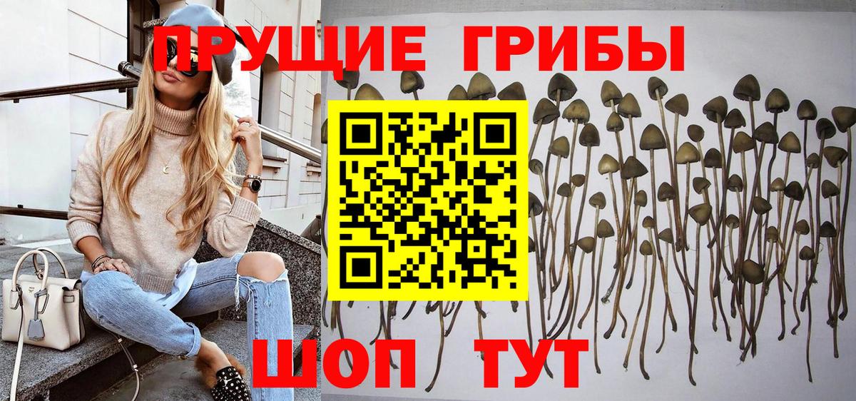 ГАШИШ  ГАШ  Амфетамин кристаллы  COCAIN  Вход с VPN  НБОМе  Кинель  Канабис  МЕФ кристаллы  Каннабис  LSD-25 
