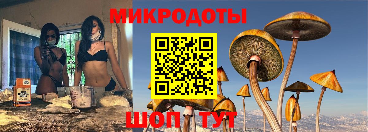 Галлюциногенные грибы Magic Shrooms Кинель