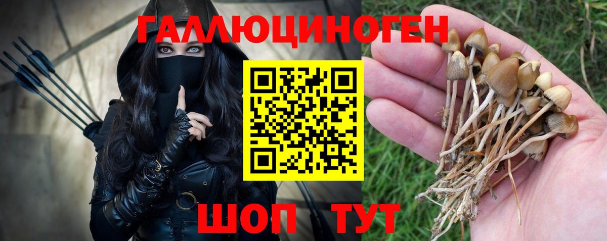 Галлюциногенные грибы Psilocybine cubensis  Псилоцибиновые грибы ЛСД  Вход с VPN  Кинель 