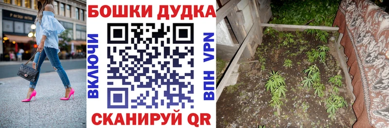 Каннабис сатива Кинель